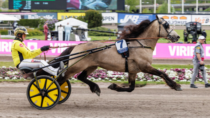 BRENNE BORKEN värmning.jpg