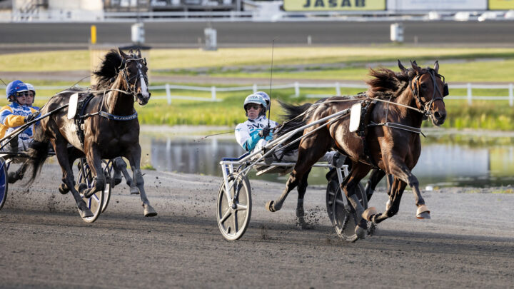 francesco-zet-upplopp-sundsvall-open-trot