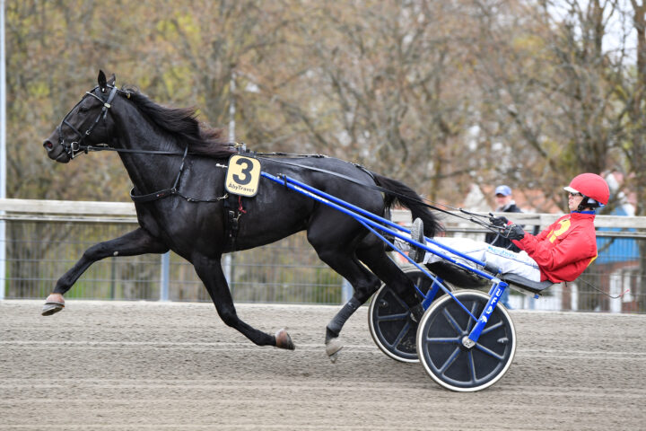 Loxahatchee heat 35.jpg