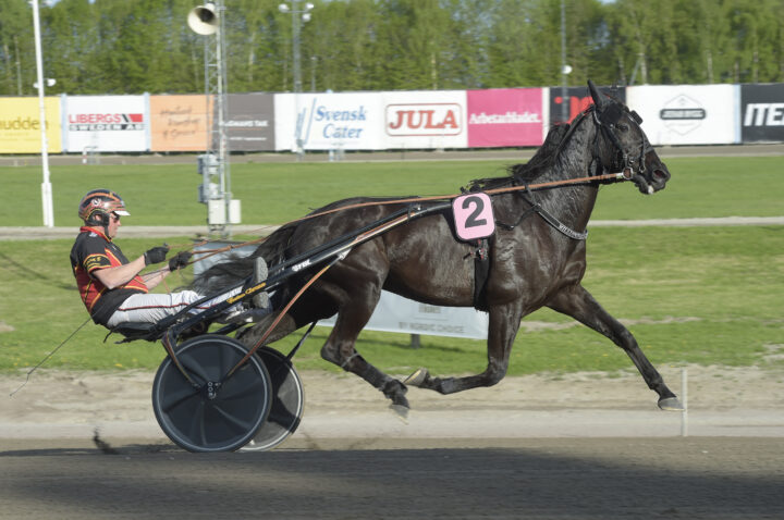 Milliondollarrhyme 6.JPG