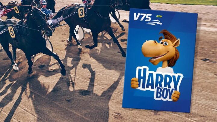 1120×630-harry-boy-v75-12989406-