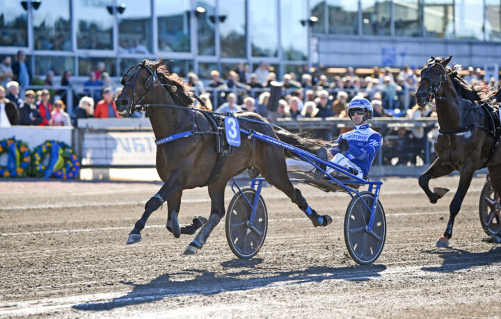 Bullet the BlueSky mål  (2).jpg