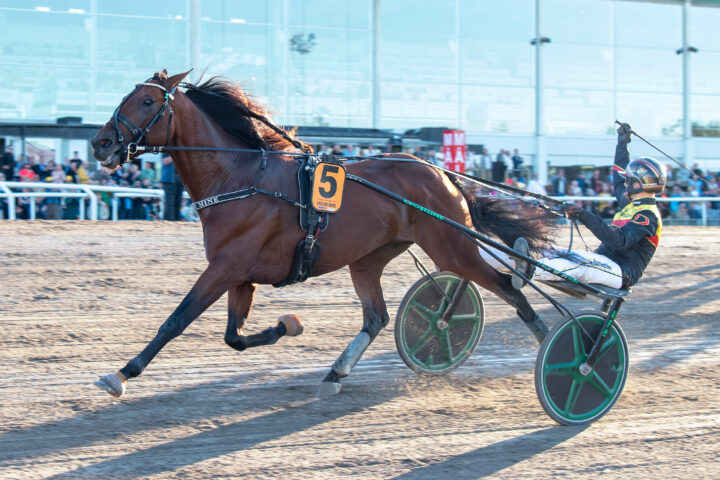 Dream Mine målgång.jpg