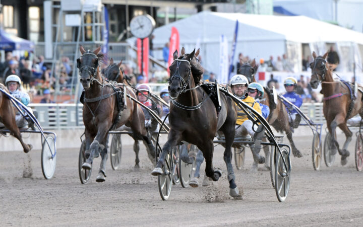 Fine Manners mål.jpg