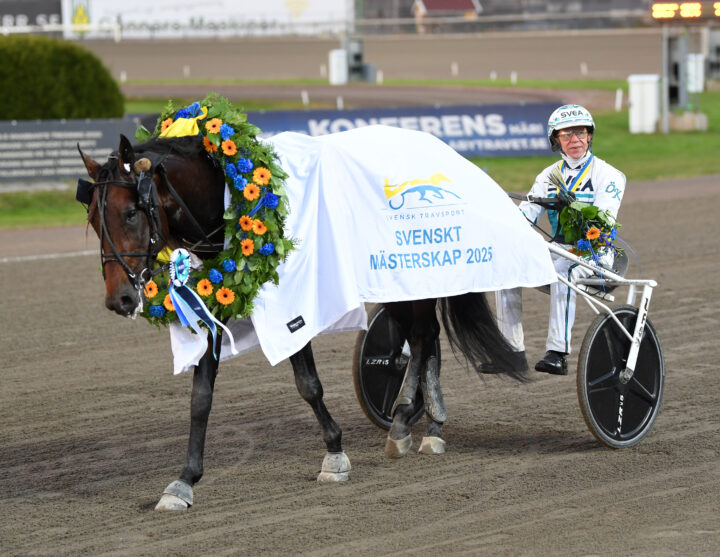 Francesco Zet segerdef.jpg