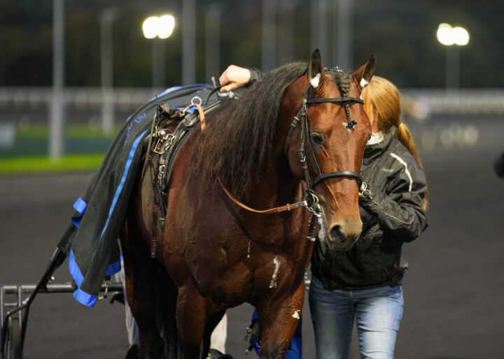 Idao De Tillard  -01308.jpg