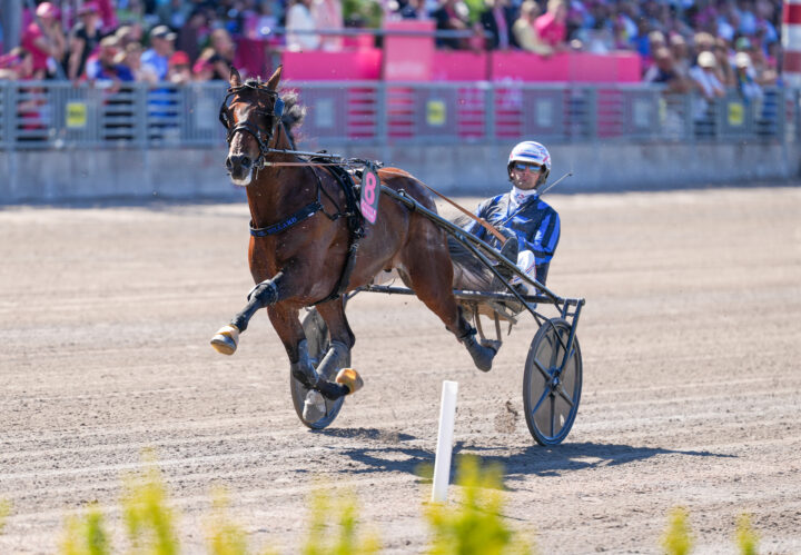 Idao de Tillard Clément Duvaldestin  -06837.jpg