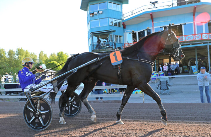 Macahan segerdefilering.jpg