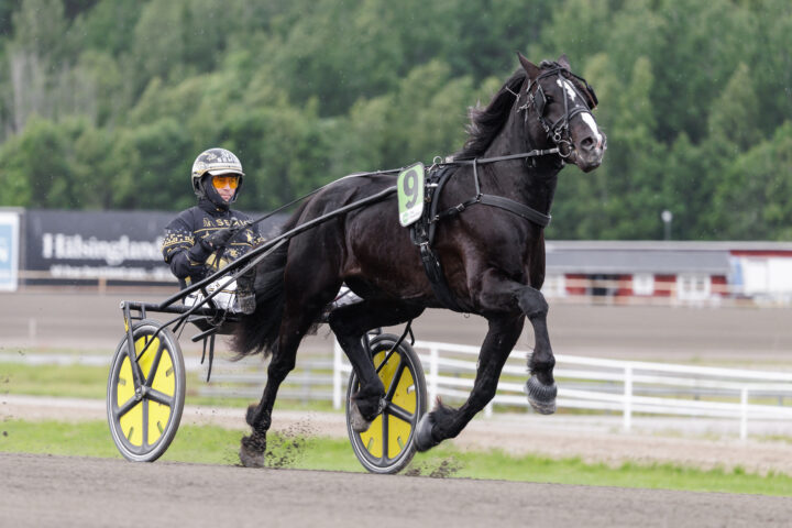 Tangen Martin heat.jpg