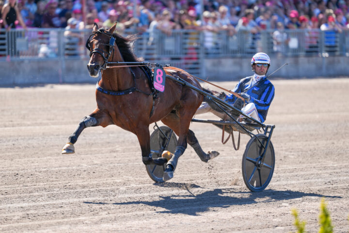 Idao de Tillard Clément Duvaldestin  -06847.jpg