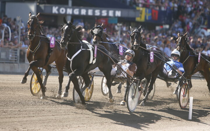 Shaq Is Back led 1.jpg