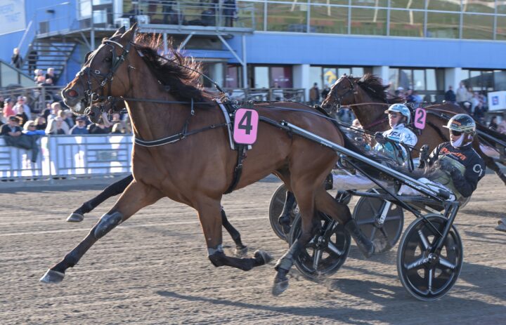 Ture L.A. mål 2.jpg