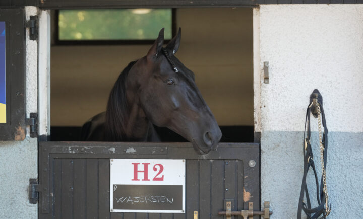 borups-victory-vincennes-stallbacke-00565