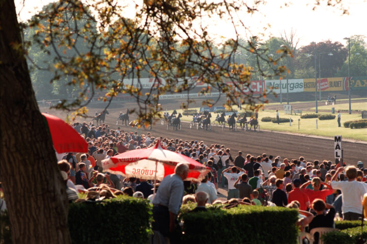 CHARLOTTENLUND VY PUBLIK