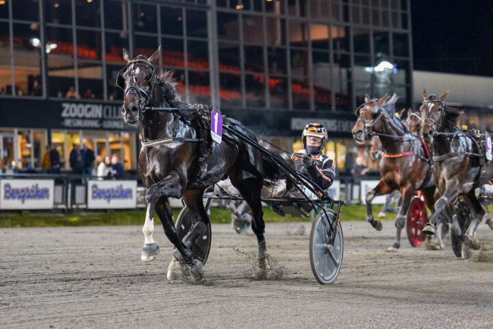 Gangster Vendil målgång.jpg