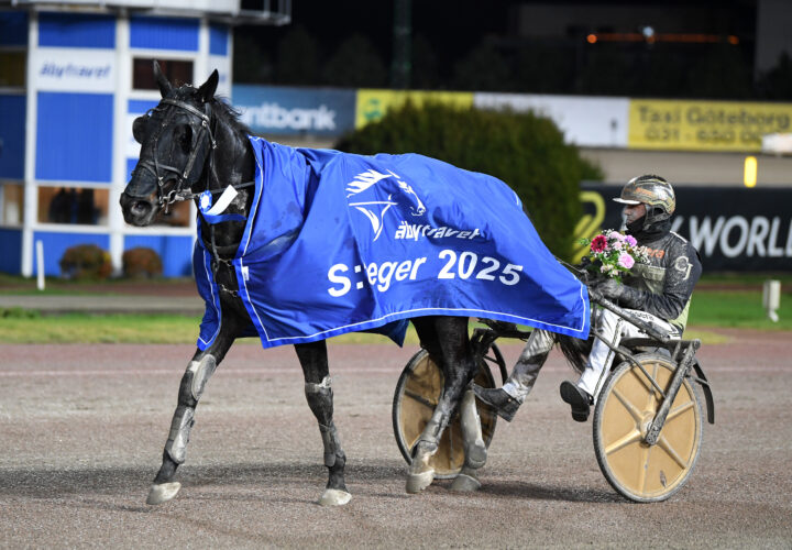 Googoo Casino segerdef  (1).jpg