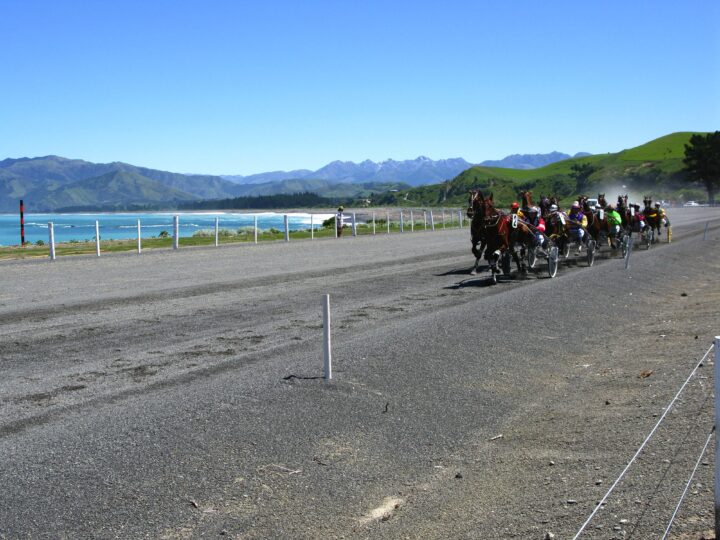 Kaikoura_084.jpg
