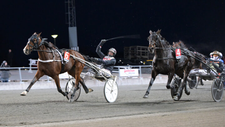 Kobra Brick mål.jpg