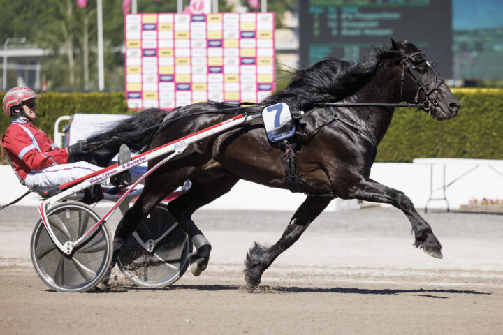 MÅNLYKKE A.M. värmn.jpg