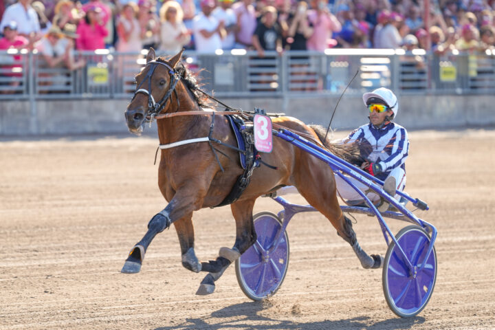 Horsy Dream Eric Raffin vinner Elitloppet 2024 -07836.jpg