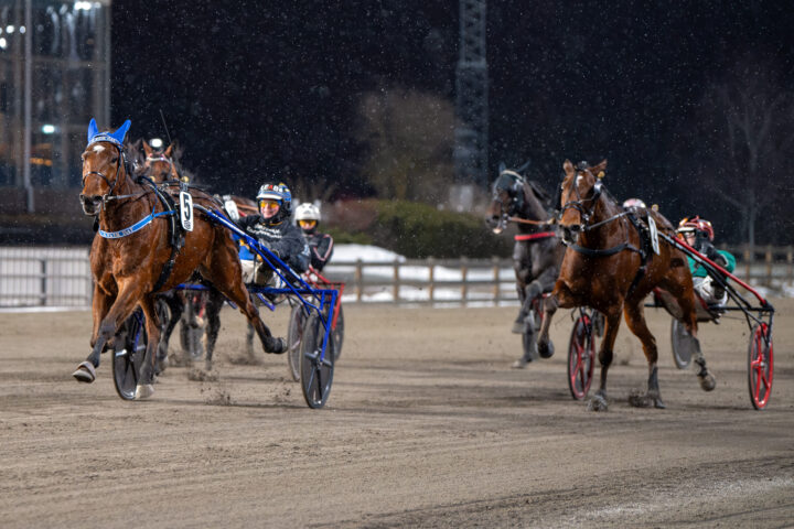 A Fair Day prisutdelning.jpg