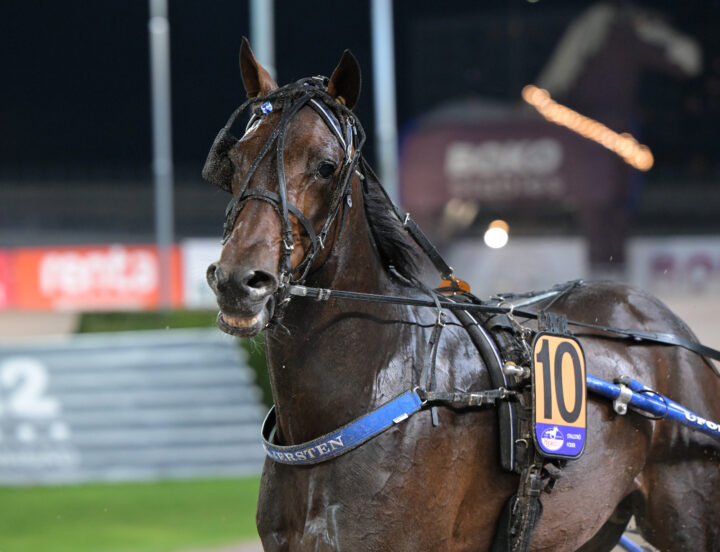 Bullet the BlueSky.jpg