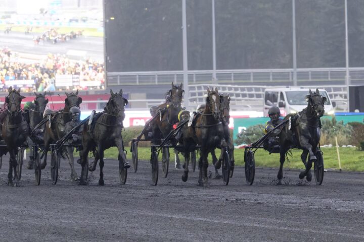 hokkaido-jiel-vinner-prix-d-amerique