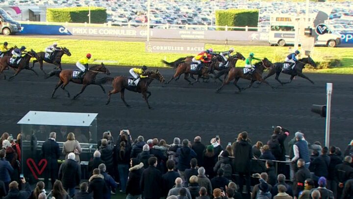 prix-de-colrnulier-30