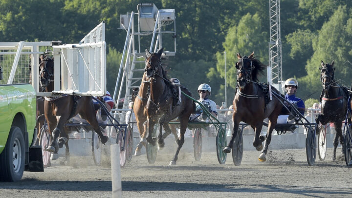 Pure Atlas galopperar i starten.jpg