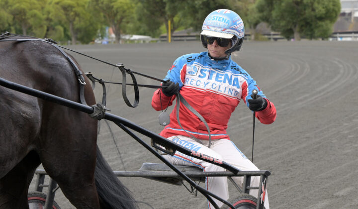 Susanne H Osterling i sulky 3.jpg