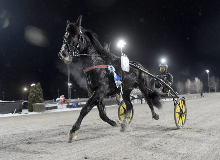 Tekno Jerven segerdefilerar.jpg