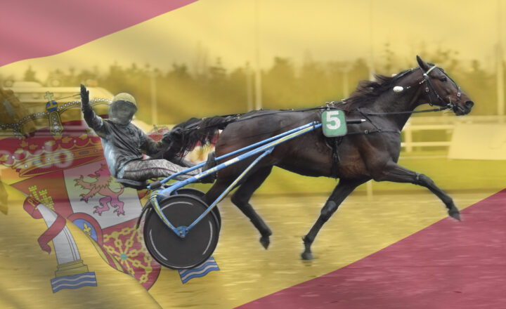 TREBOL MED SPANSK FLAGGA.JPG