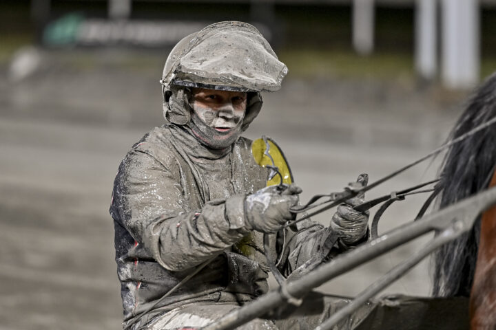 Umåker 251225 – S.G.Mistral – Ulf Ohlsson.jpg