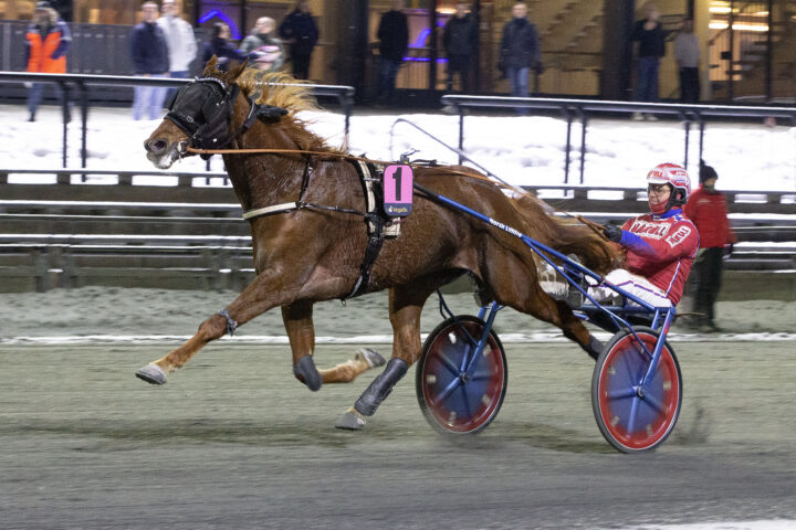 *** Local Caption *** Cabron vant på 11,5a/1609m. Foto: hesteguiden.com