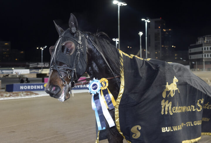 Chitchat med segerrosetter.jpg