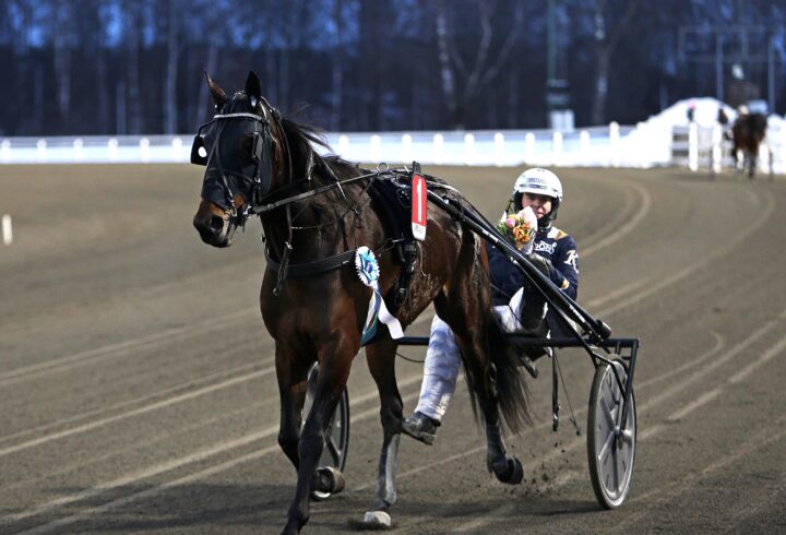 Colombe Blanche def.JPG