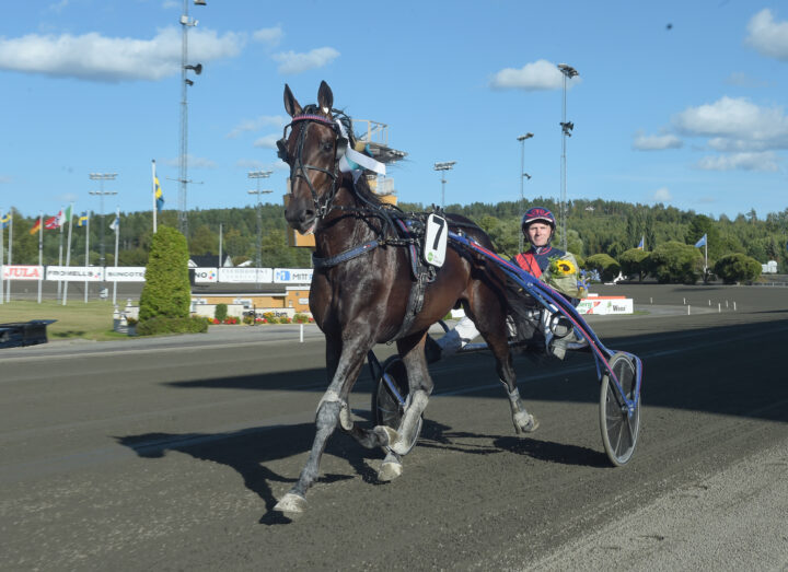 From the Hip segerdefilerar.jpg