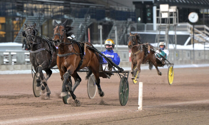 Gaining Experience mål.jpg