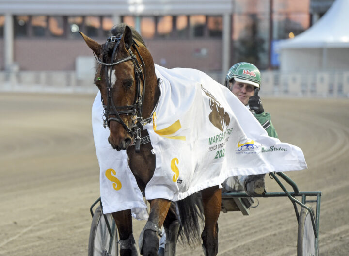 Global Concept segerdefilerar.jpg