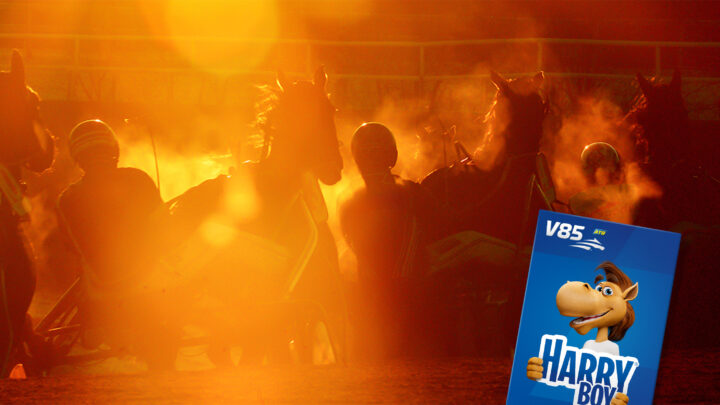 harrysidan-promo-wb-mobile1