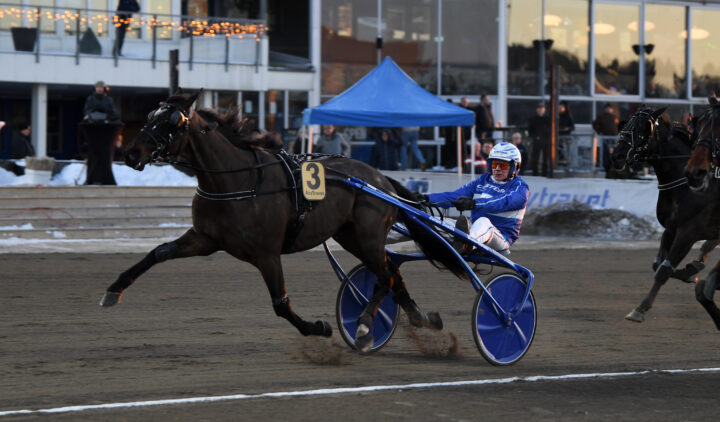 High on Pepper mål (3).jpg