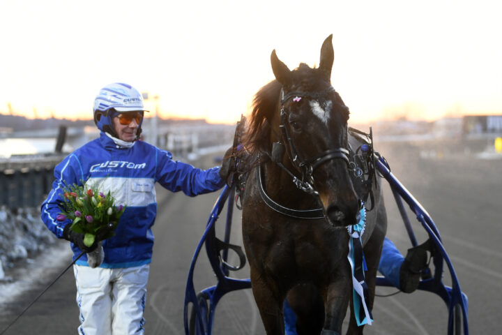 High on Pepper pris.jpg