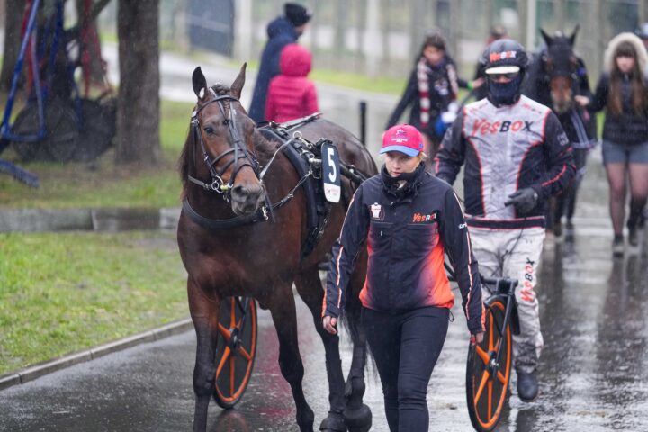 Immortal Doc -04827.jpg