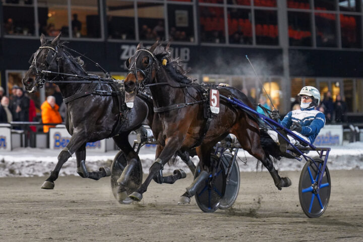 Rya Håleryd målg.jpg