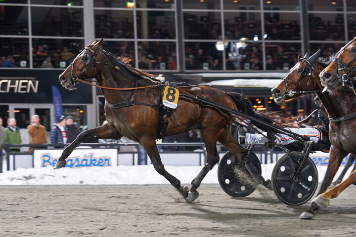 Västerbo Tramp Mål.jpg