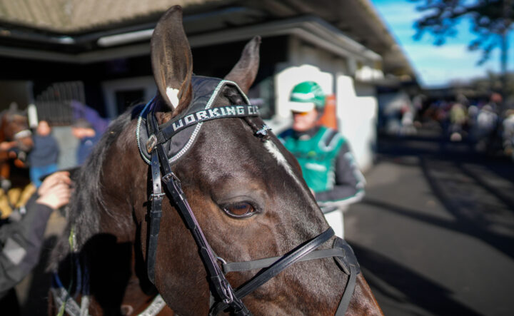 Working Class Hero -9963.jpg