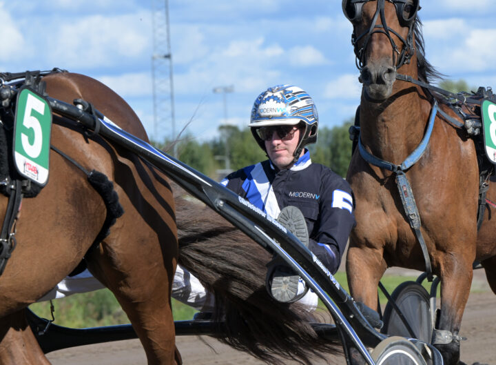 Christoffer Eriksson i sulky.jpg