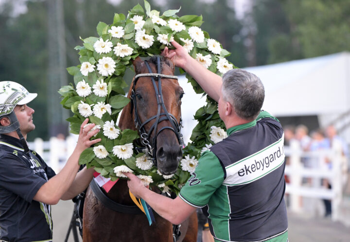Dream Mine får lagerkrans.jpg