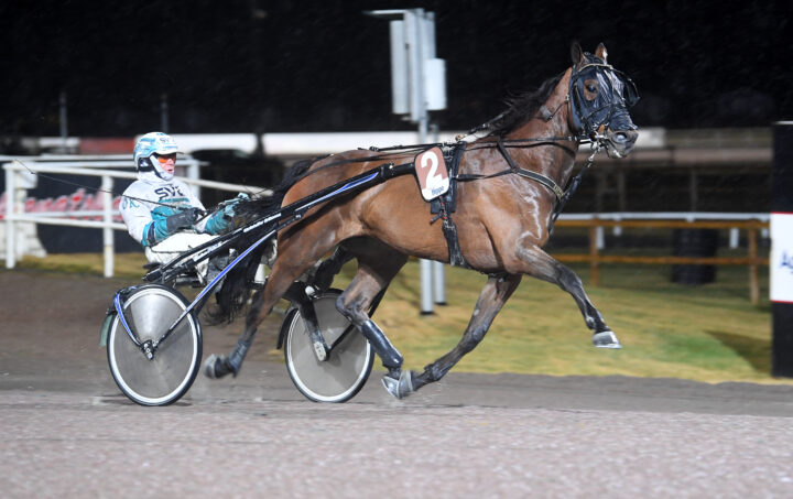 Indy Boy mål (1).jpg