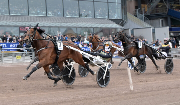 Jula Redmile Champ mål.jpg